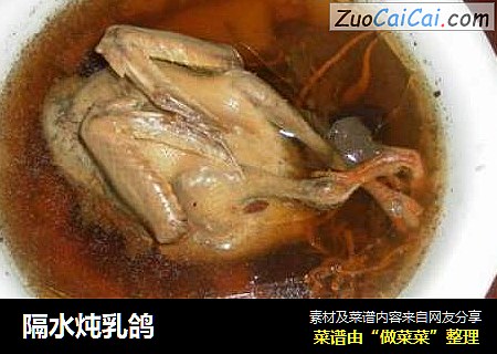 隔水炖乳鸽