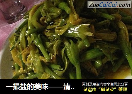 一撮盐的美味——清炒鲜黄花