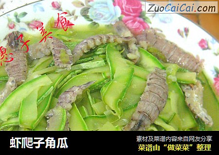 虾爬子角瓜
