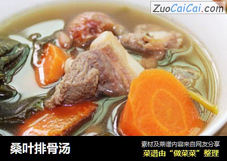 桑叶排骨汤