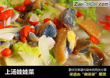 上汤娃娃菜