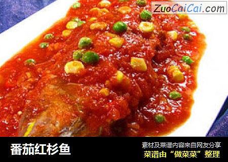 番茄红杉鱼