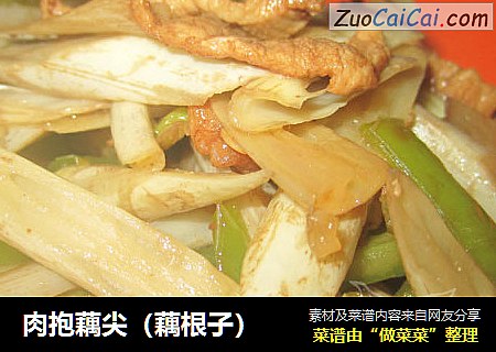肉抱藕尖（藕根子）