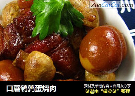 口蘑鹌鹑蛋烧肉