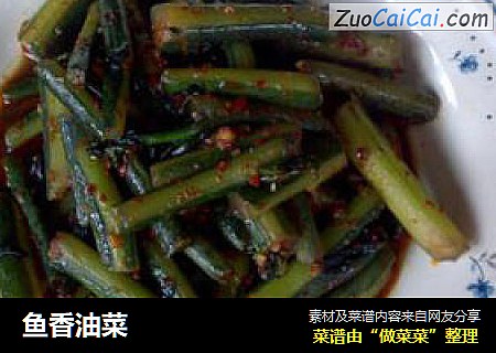 鱼香油菜