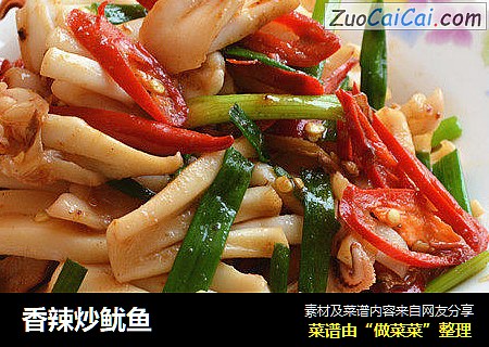 香辣炒鱿鱼