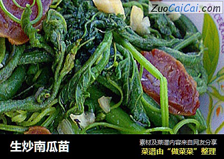 生炒南瓜苗