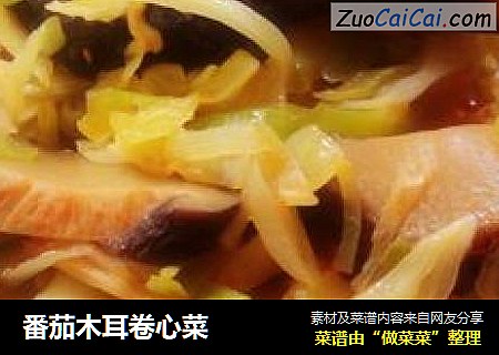 番茄木耳卷心菜
