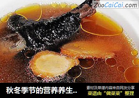 秋冬季节的营养养生靓汤——灵芝西洋参乌鸡汤