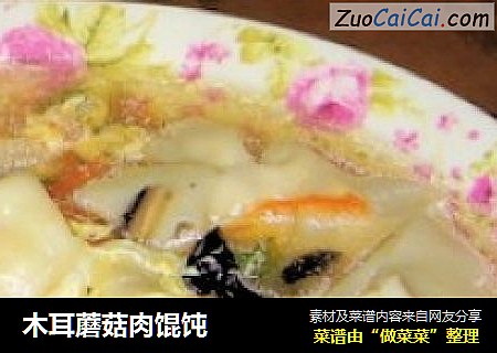 木耳蘑菇肉馄饨