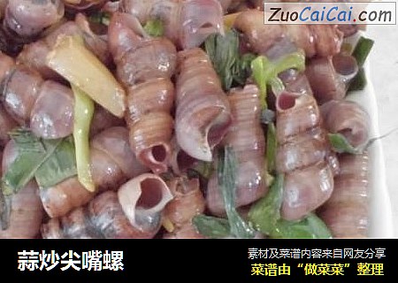 蒜炒尖嘴螺