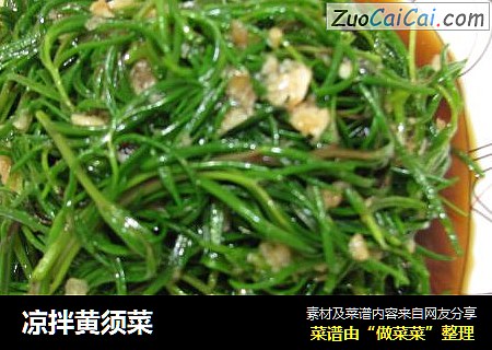 凉拌黄须菜