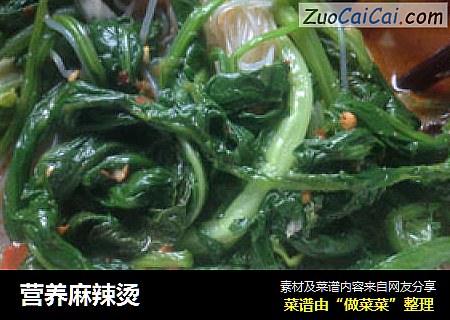 营养麻辣烫