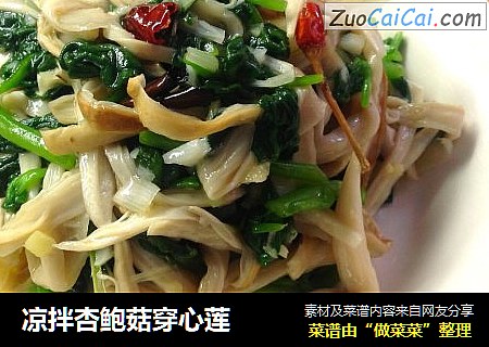 凉拌杏鲍菇穿心莲