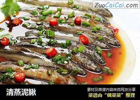 清蒸泥鳅