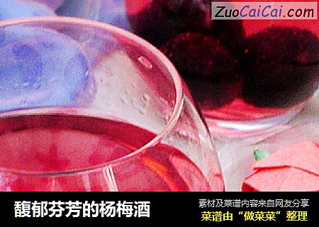 馥郁芬芳的杨梅酒