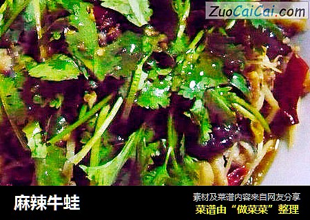 麻辣牛蛙
