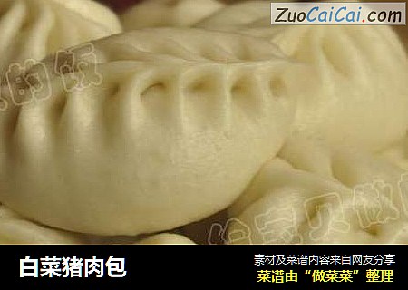 白菜猪肉包