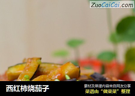 西红柿烧茄子