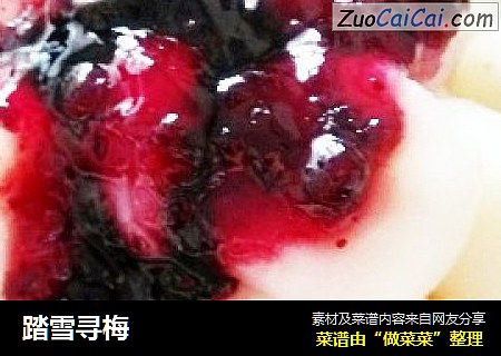 踏雪寻梅