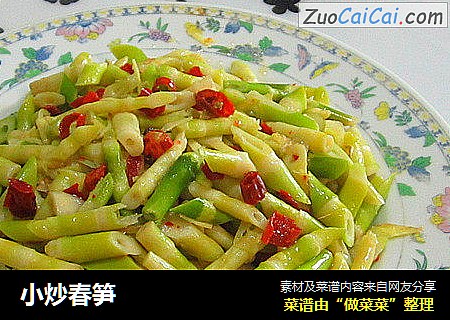 小炒春笋