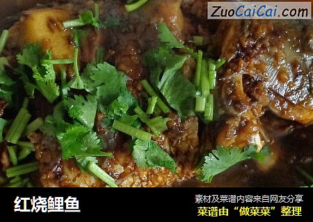 红烧鲤鱼