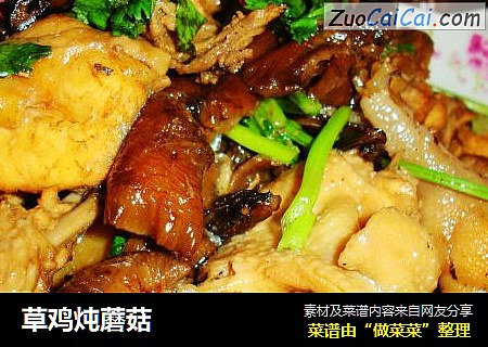 草鸡炖蘑菇