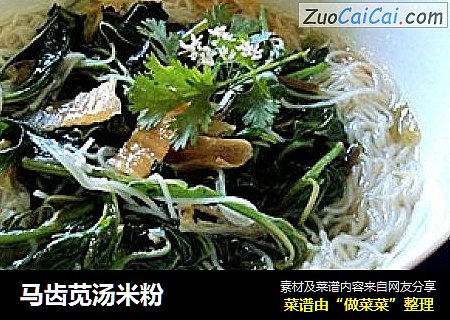 马齿苋汤米粉