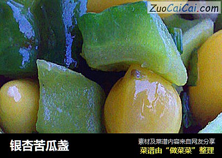 银杏苦瓜盏