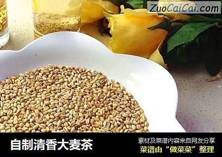 自制清香大麦茶