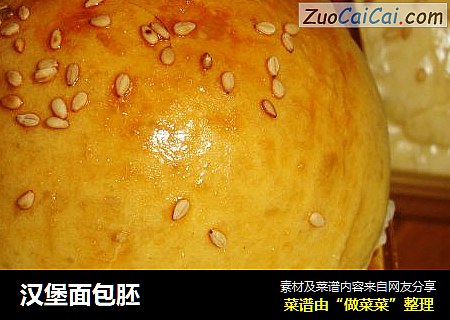 汉堡面包胚