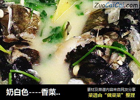 奶白色----香菜鱼头豆腐汤