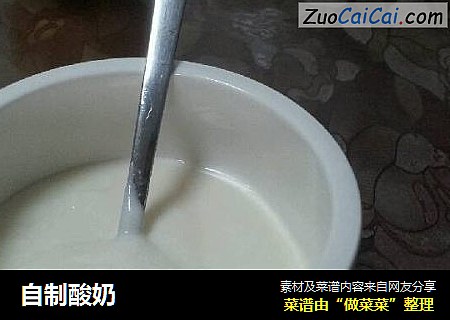 自制酸奶