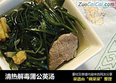 清热解毒蒲公英汤