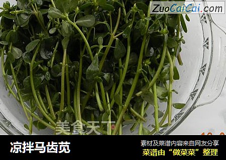 凉拌马齿苋