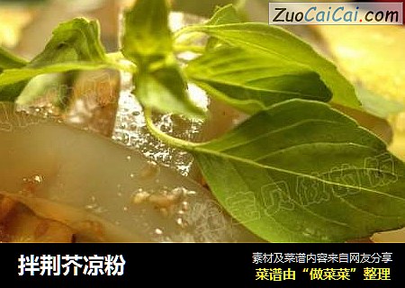 拌荆芥凉粉