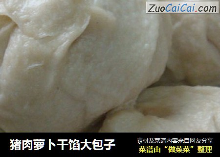 猪肉萝卜干馅大包子