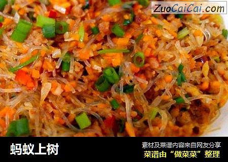 蚂蚁上树
