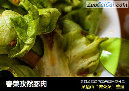 春菜孜然豚肉