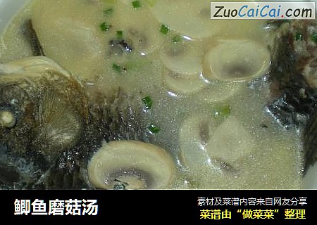 鲫鱼磨菇汤