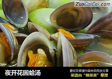 夜开花圆蛤汤