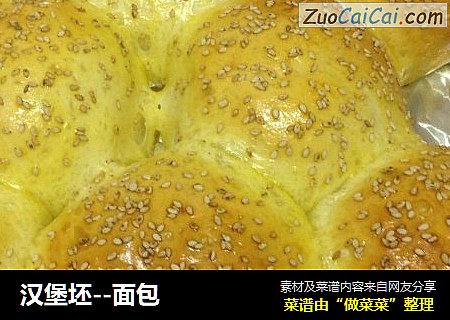 汉堡坯