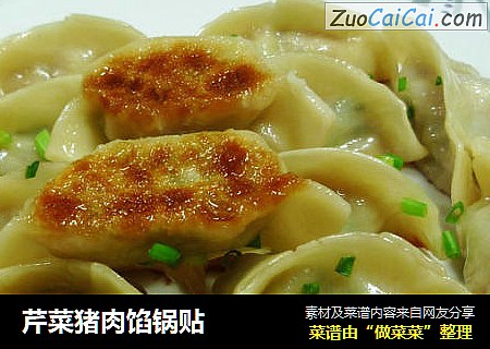 芹菜猪肉馅锅贴