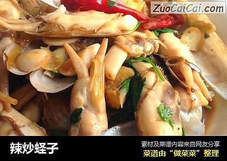 辣炒蛏子