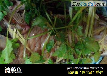 清蒸鱼
