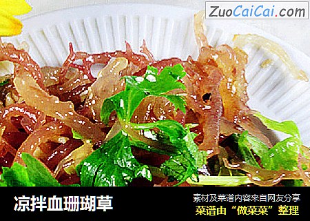 凉拌血珊瑚草