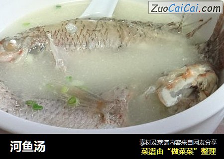 河鱼汤