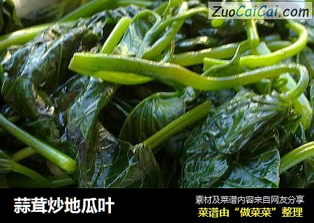 蒜茸炒地瓜叶