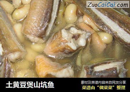 土黄豆煲山坑鱼