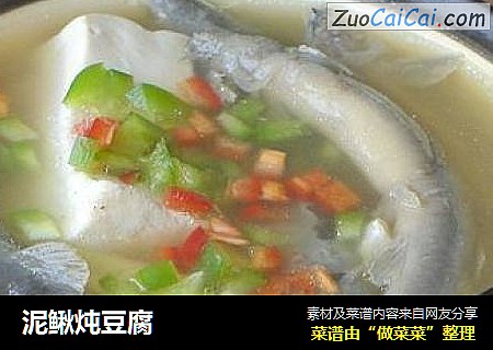 泥鳅炖豆腐